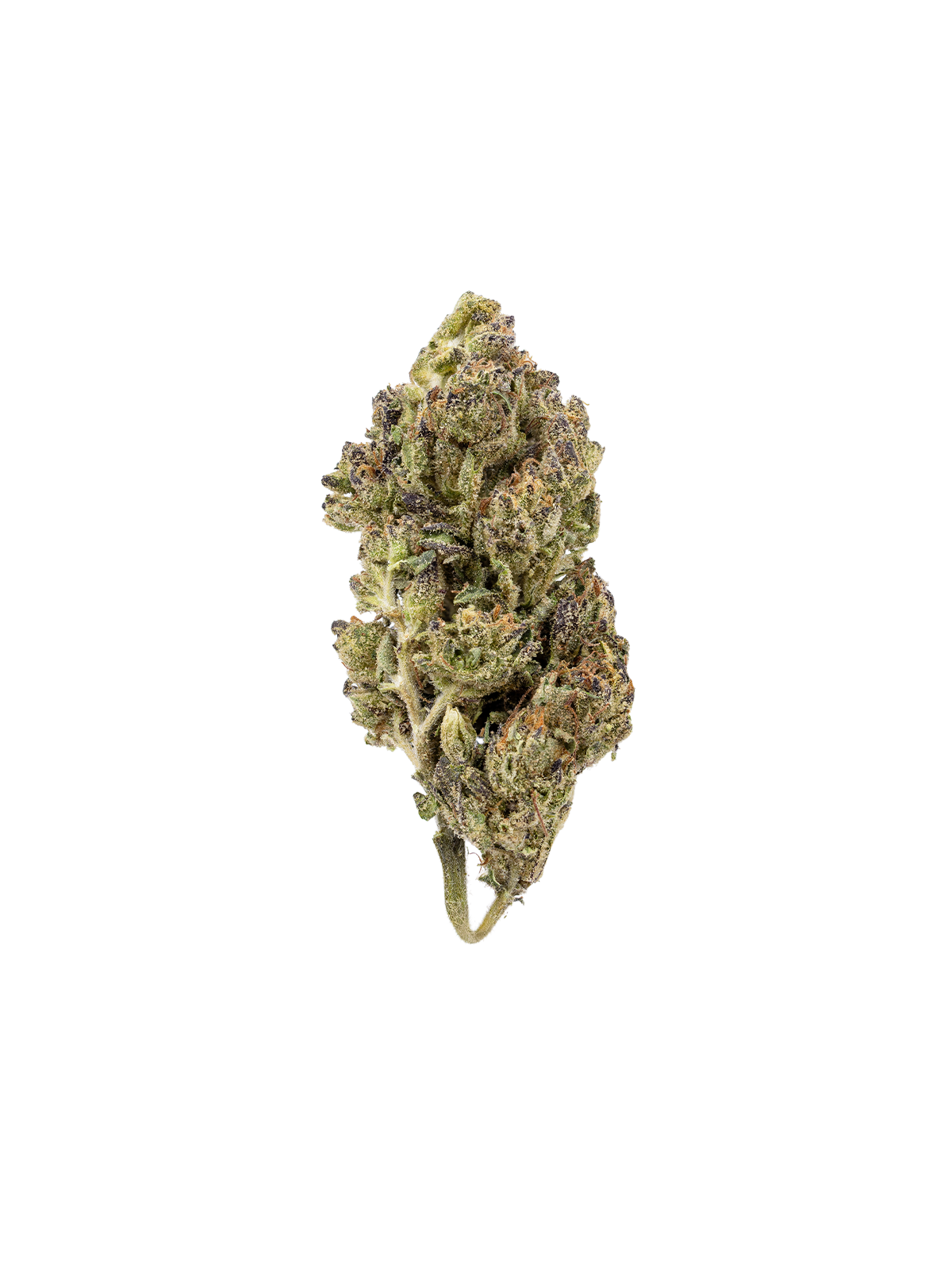 Cherry Tang 3.5g