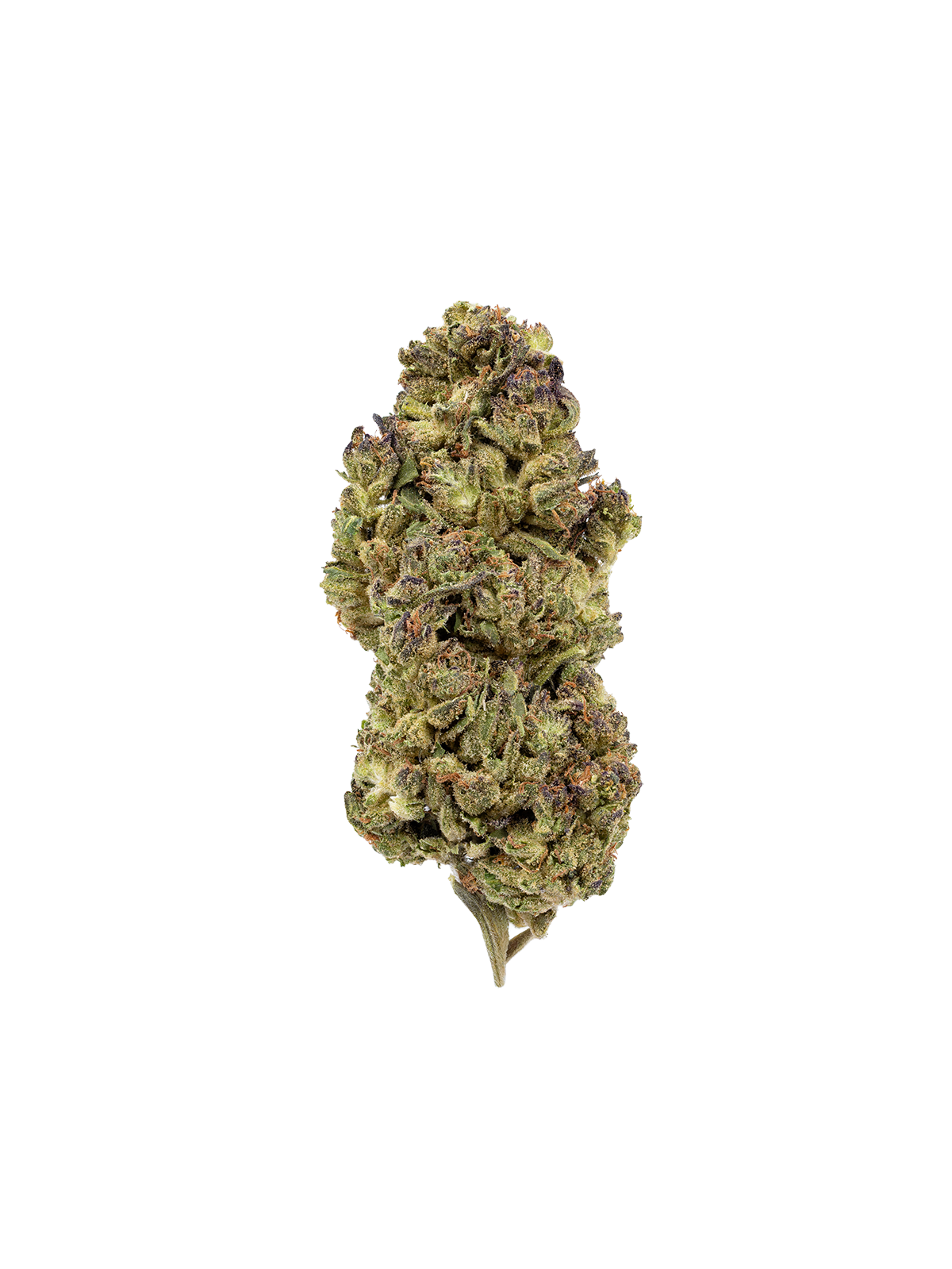 Honey Runtz 28g
