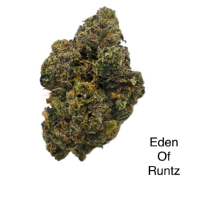 Eden of runtz strain austin texas