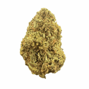 Headband by the Unit 28g -102425 (Economy)
