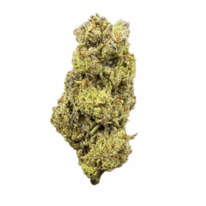 Ewok by the Unit 28g - 102425 (Economy)
