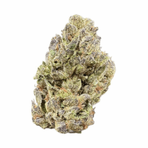 Jager by the Unit 28g - 102425 (Economy)