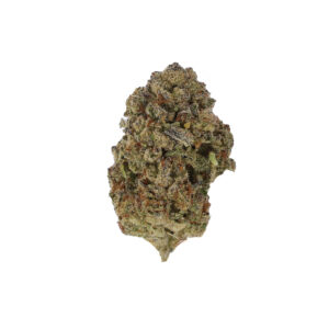 Dutch Treat Haze by the Unit 28g - 103025 (Economy)