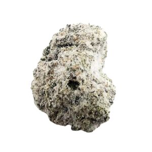 Donuts by the Unit - 3.5g - 080625 (Exotic)