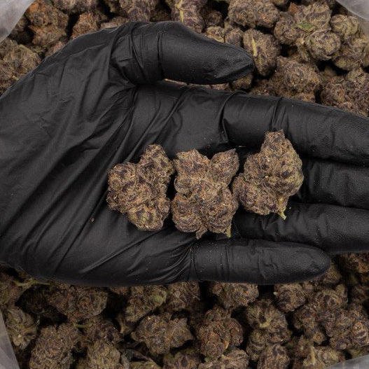 White_Truffle_Indica_Hybrid_1oz_Exotic (1)