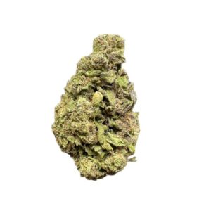 Silverback Gorilla by the Unit 28g - 120225 (Premium Special)