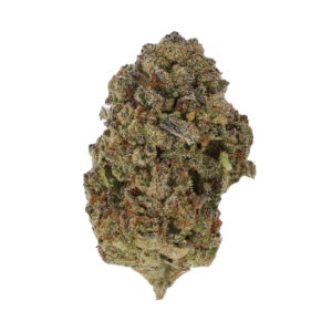 King Kong by the Unit 28g - 120125 (Premium Special)