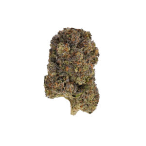 Tropical Dream by the Unit 28g - 121025 (Premium Special)