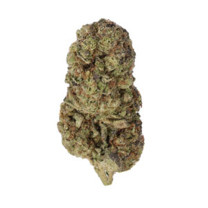 F1 Gushers by the Unit 28g - 121325 (Premium Specials)