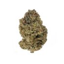 Pineapple Mimosa by the Unit 3.5g- 020426 (Essential)