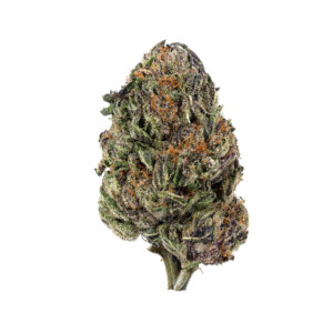 Happy Hiker Haze by the Unit 28g - 020126 (Premium Special)