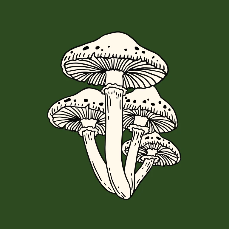 Mushrooms