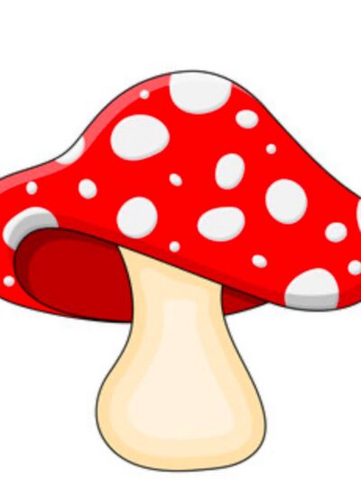 Hiii Trippy Treats by the Unit - 3.5g