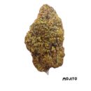 Mojito by the Gram 100924 (Economy)