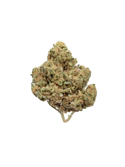 Biscotti 3.5g