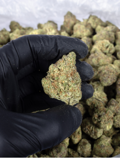 Blueberry Muffin 28g