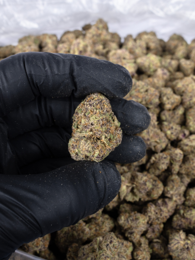 Cherry Gelato 28g