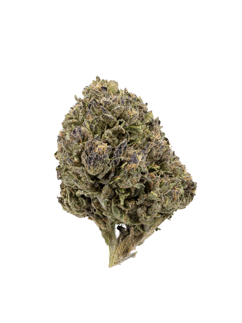 Premium Flower