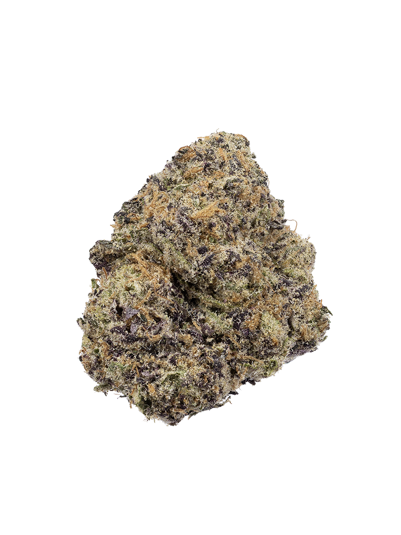 Exotic Flower