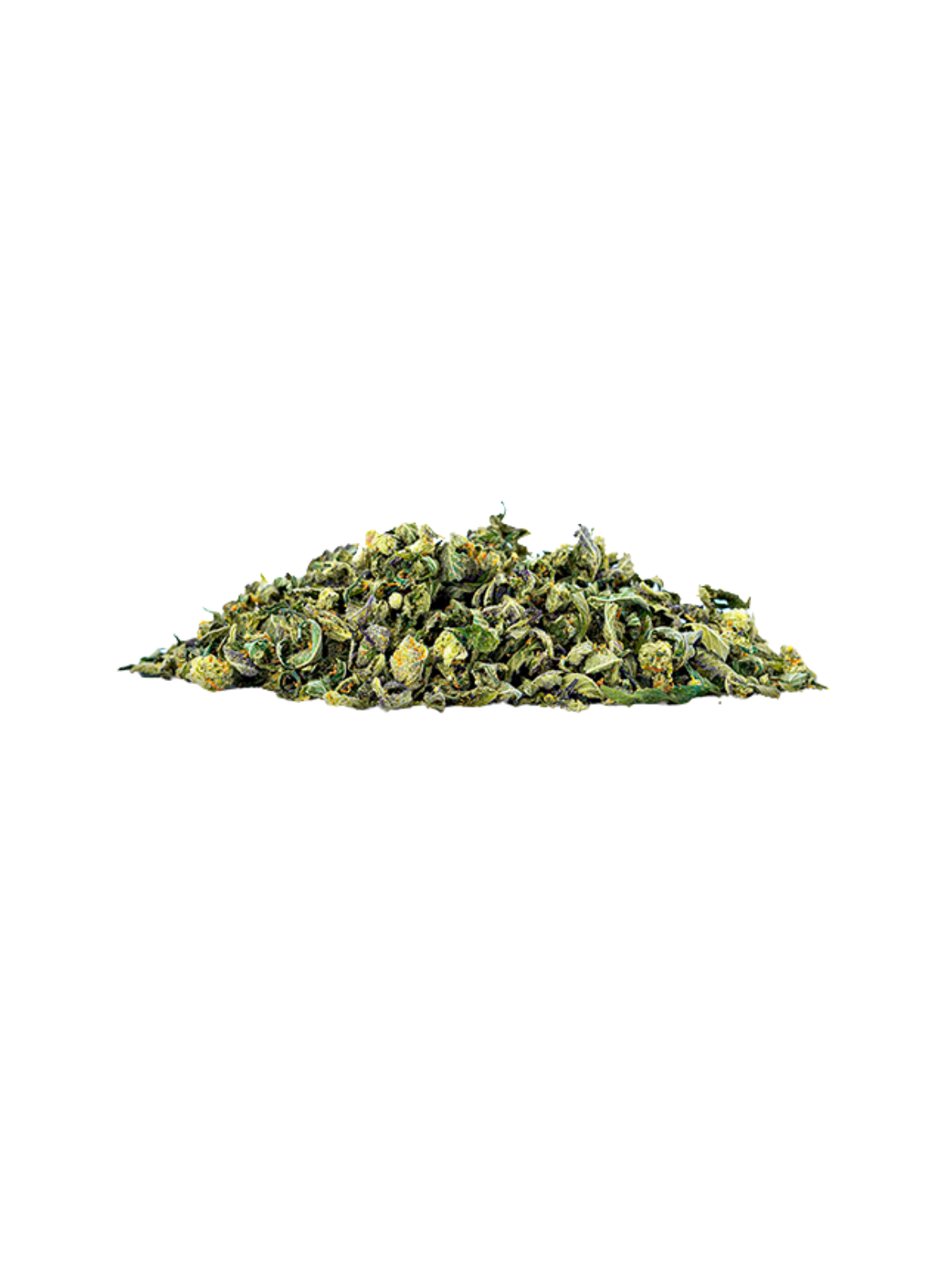 Hiii Premium Shake 28g