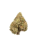 Lost Coast 28g
